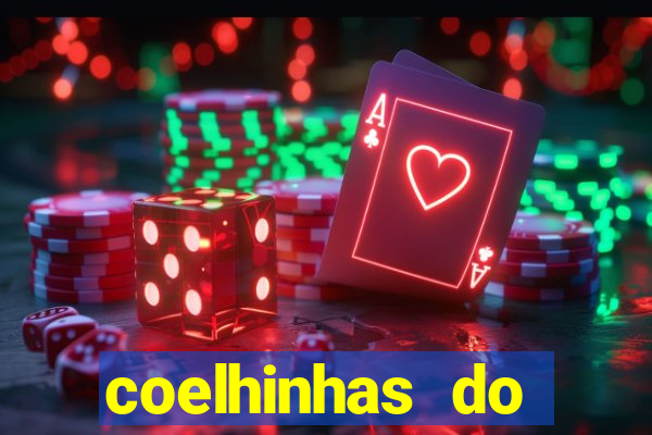 coelhinhas do brasil jp